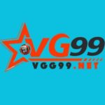 Foto del perfil de vg99net