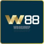Foto del perfil de W88