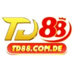 Foto del perfil de TD88