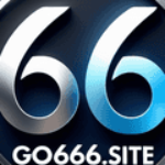 Foto del perfil de GO 666