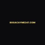 Foto del perfil de bogacayme247com