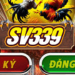 Foto del perfil de Da ga SV339