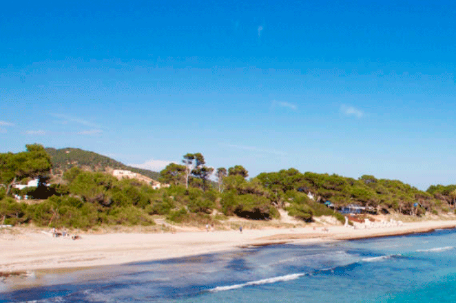 piedras playa 6